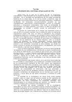 Filosofia Del Oraculo De Ifa.pdf